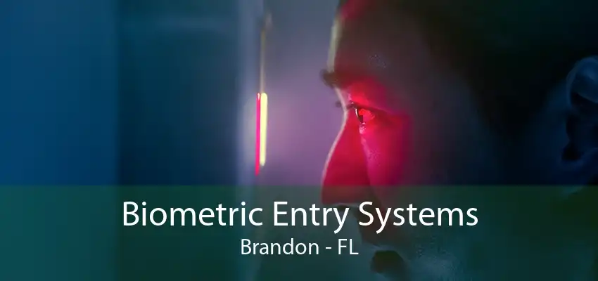 Biometric Entry Systems Brandon - FL