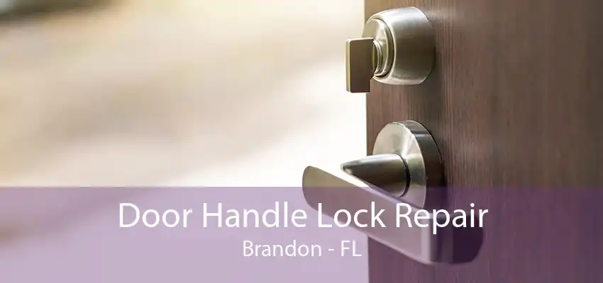 Door Handle Lock Repair Brandon - FL