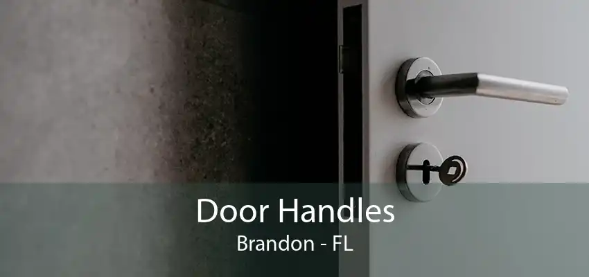 Door Handles Brandon - FL