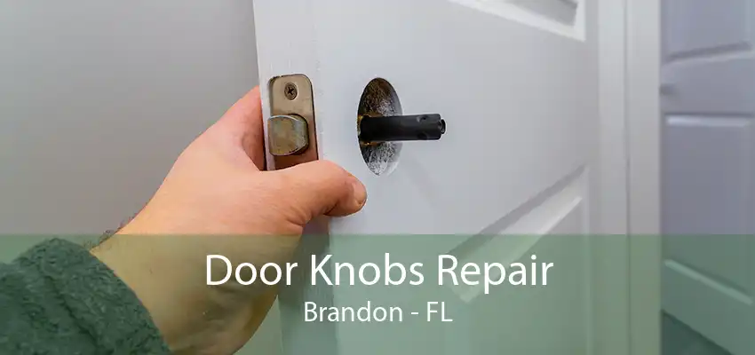 Door Knobs Repair Brandon - FL