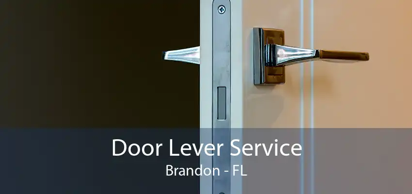 Door Lever Service Brandon - FL