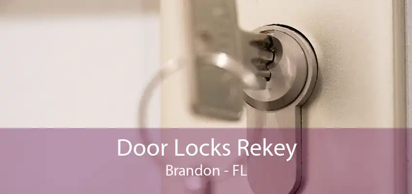 Door Locks Rekey Brandon - FL