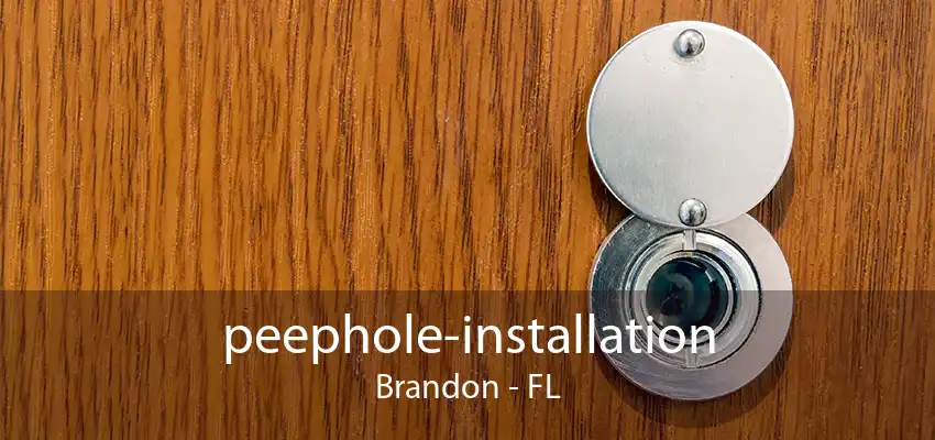 peephole-installation Brandon - FL