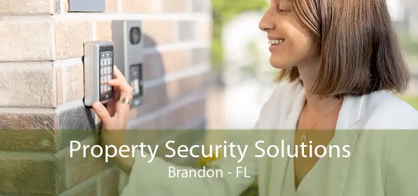 Property Security Solutions Brandon - FL